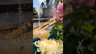 Soothing Morning Vibes 🌺 | Peaceful Fountain & Flowers Aesthetic #nature #flowers #fountain