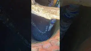 Old persian water wheel irrigation system #shorts #shortsviral #viralvideo #farming