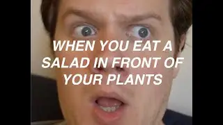 when you eat a salad in front of your plants