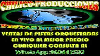 SUSAN DEL PERU-MIXAMANTES PERFECTOS-PATITO NEGRO-MI SOMBRERITO PISTA EN VIVO DEMO