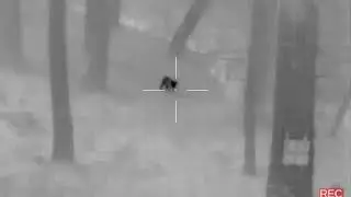 flir thermosight PTS233