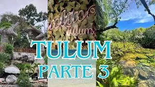 Tulum | Club Santino | Cenote Buut's Ha ahora Zenote | Parte 3