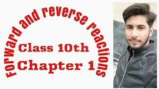 Difference in forward and reverse reactions and properties of dynamic equilibrium,Class 10,Chapter 1
