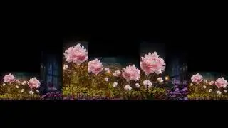 Visual Loop - Flower Map