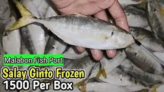 Frozen Fish ng malabon Salmon ulo 110kilo/ Nobashi 14g 220 kilo #amazingfacts #marielasin 