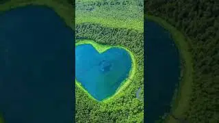 Odly satisfying #ocean ||satisfying videos|| #asmr #shorts #youtubeshorts #trending