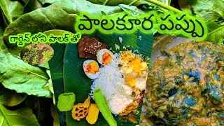 Spinach🌱 Dal Recipe 🤤| functions style లో కమ్మటి పాలకూర పప్పు recipe in Telugu | Telugu vlog-Zambia