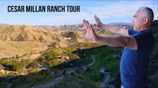 My Parrot Reacts to a Cesar Millan Ranch Tour!