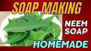 சரும நோய்களை விரட்டும் வேப்பிலை சோப்பு|ANTIBIOTIC|NEEM SOAP|MNP METHOD|HOMEMADE