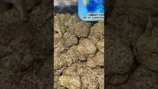 How to order weed online