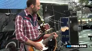 Assembly of Dust Performs 
