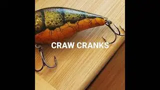Crawfish Cranks: Forage Pattern Series (Crawdaddy) Custom Squarebill Crankbaits! Susquehanna River