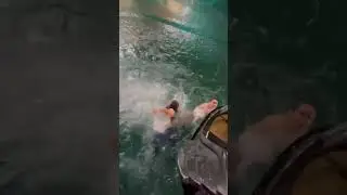 She done landed on the poor swan 😭