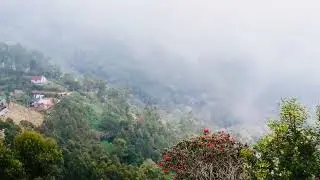 #munnar #topstation #kerala #india 