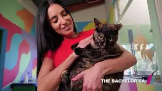 Showmax The Bachelor SA Season 1 Jax