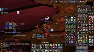 Turtle WoW - ES AQ40?
