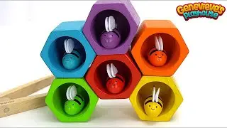 Teach Kids Colors with Fun Toy Bees and Beehive!