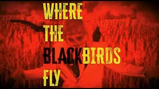 Not For Sale - Where The Blackbirds Fly