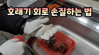 호래기 손질하는 방법 (회로 먹을 때)