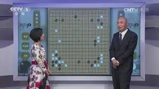 《纹枰论道》20160420人机大战第二局