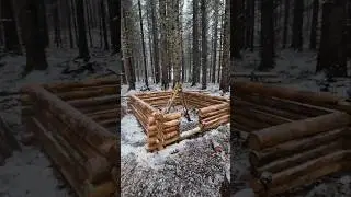 A snowy day at the Log Cabin build #logcabin #logcabinbuild #woodworking #loghouse