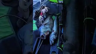 Pesca in kayak. Nostalgia del bel tempo😭
