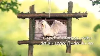 Kantens Vise Original video