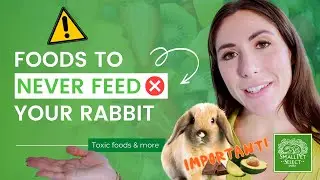 NEVER Feed These To Your Rabbit (They're TOXIC!)