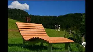 Schwarzwald Ferienhaus und Ferienwohnungen M&uuml;llerbauernhof