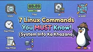 The TOP 7 Linux Commands for Getting System Info Quickly