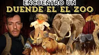 El Zooo De Mario (Vengo Solo-Kevin Ortiz)