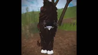 my sob story- | a lions pride roblox | #alionsprideroblox #roblox #warriorcats #fyppp