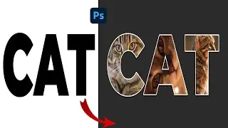 Master Dynamic Textures: Image Fill Your Photoshop Text!