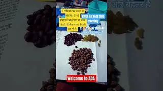 Vivek sir diet plan runner #trending #diet #running #youtubeshorts #viral