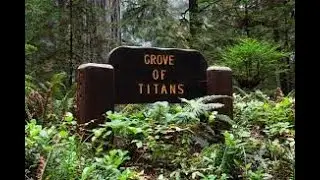 Geotagging Case Study (The Grove Of Titans)