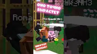 И что с ними делать?