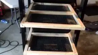 DIY Rat Rack Build