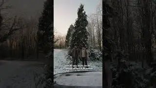 HNY! 🎈