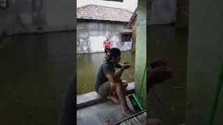 banjir membawa berkah🤣