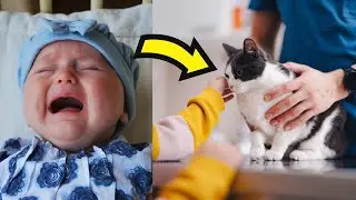 😱  Brave Cat Becomes Hero When He Saves Baby From Abusive Babysitter