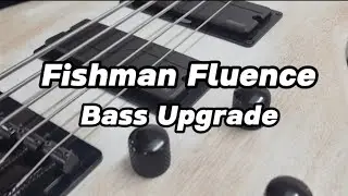 Fishman Fluence Installation