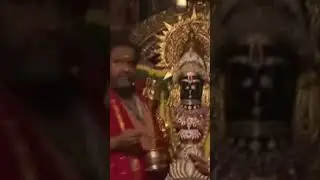 President of India Smt. Droupadi Murmu | Sripuram Golden Temple -Vellore City | @news24tv10