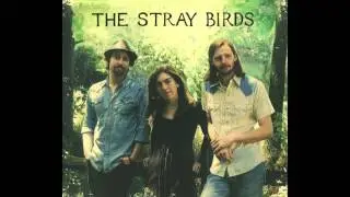 The Stray Birds- 