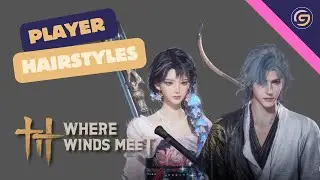 Where Winds Meet - Epic Player Customised Hairstyles