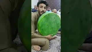 السيد شكر النامس عتابه ومديح 🌹🌹🌹