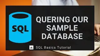 Using Select Queries to Fetch Data: Part 13 - SQL Tutorial for Beginners