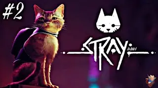 Stray : Seguimos por los suburbios!! #2