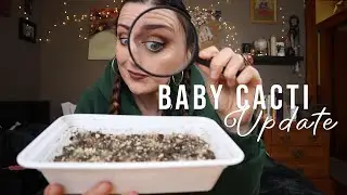 Cactus Seedling Update, On Planty Bravery, & FAQ |  #Vlogmas e10
