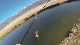Winter fishing in the Eastern Sierra
