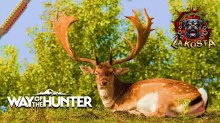 ⭐ ОХОТА на ПЯТНИСТОГО ОЛЕНЯ ⭐ ПУТЬ ОХОТНИКА ⭐ Way of the Hunter ⭐